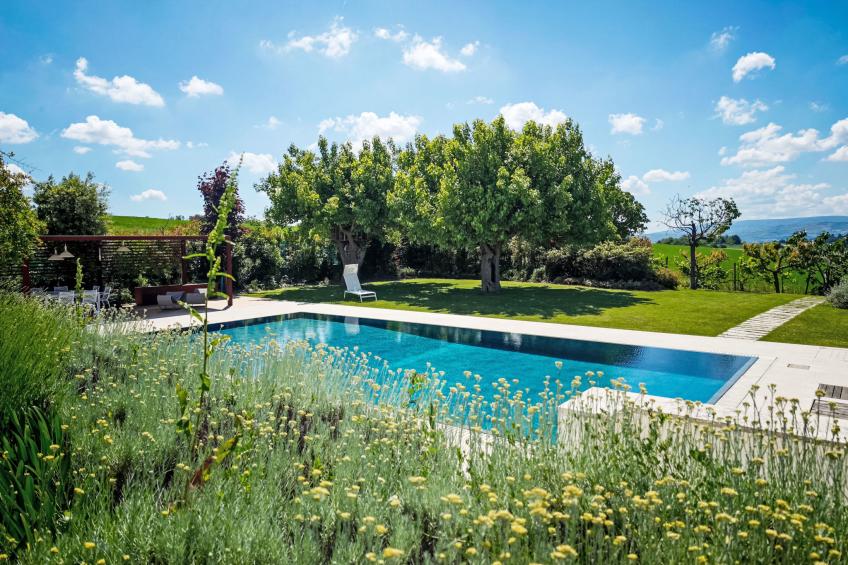 Mulberry Garden - foto 121