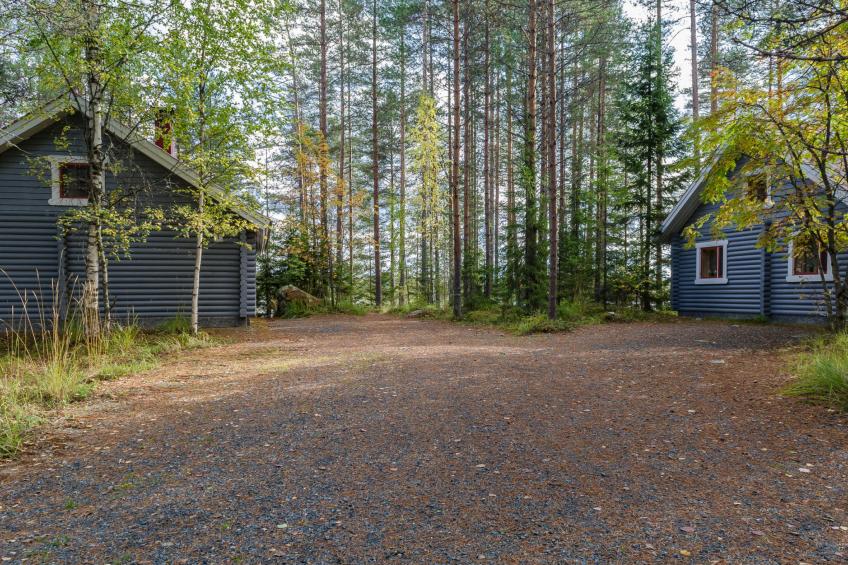 Koli, ulpukka - foto 58