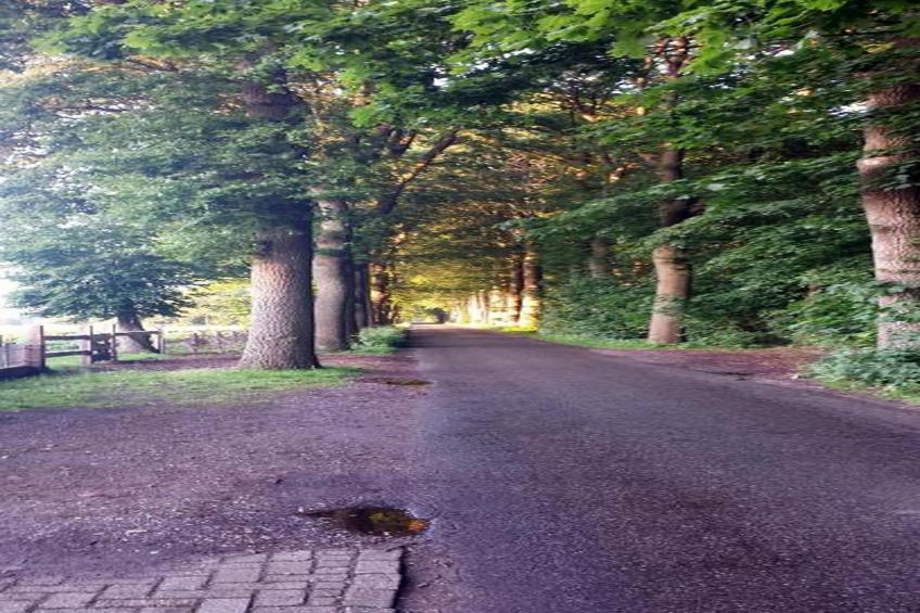 't Landgoed Baars 1 - foto 21