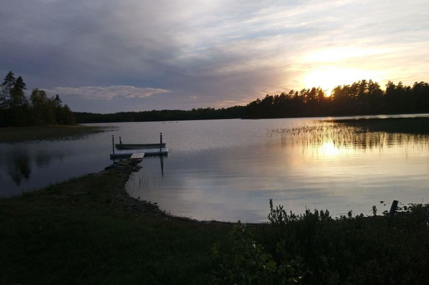 Saxarsviken - foto 29