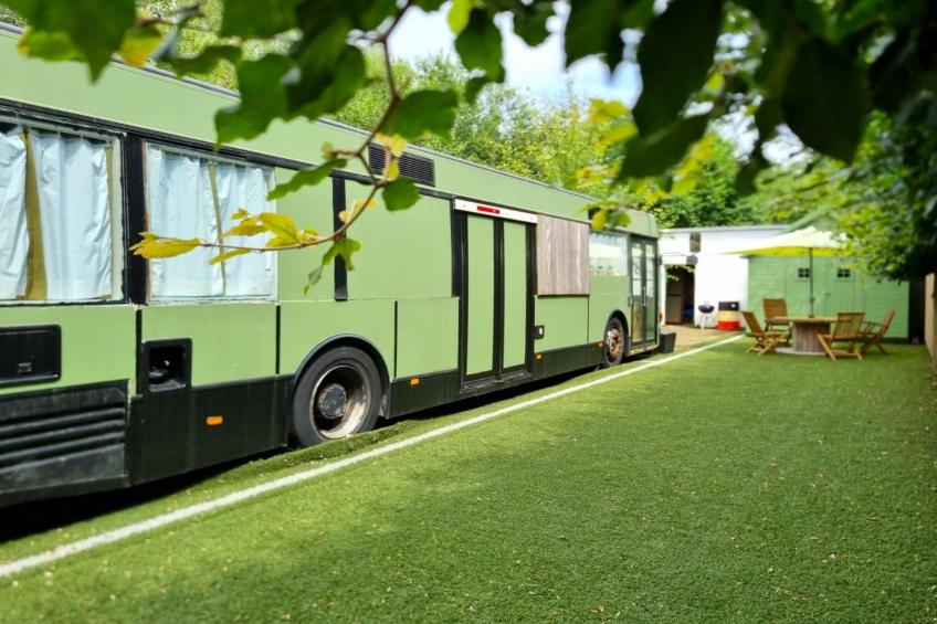 REEBUS - foto 4