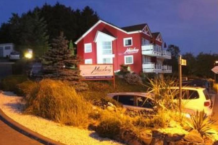 Maaridyll in Schalkenmehren - foto 3