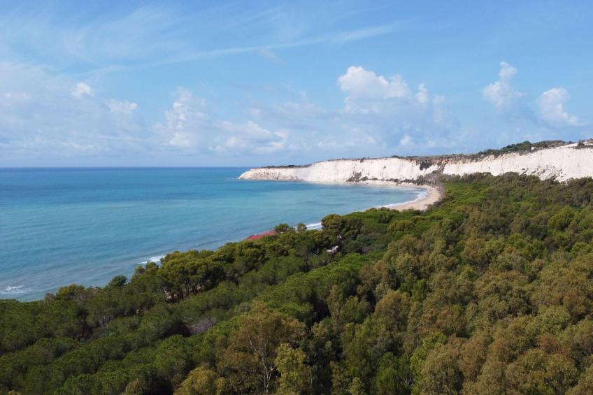 Wohnung 5 - Zwei-Zimmer-Wohnung - foto 19