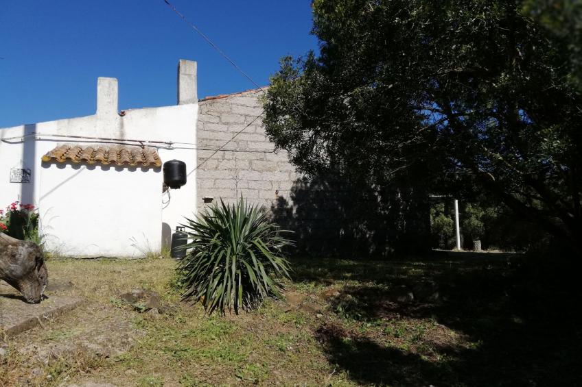 Stazzo mit Garten in Luogosanto - foto 7