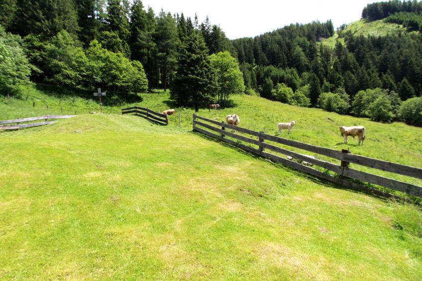 Unterhofer Alm - foto 18