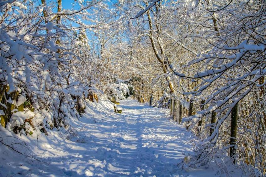 Bergresort Winterberg - foto 11