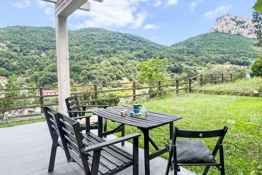 Le radici dell´ulivo - foto 7