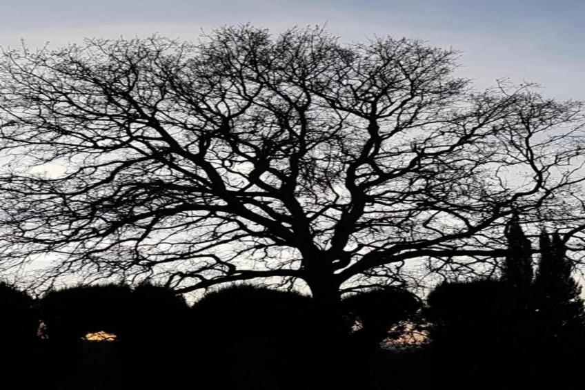 Casa Bela Esperança - foto 26