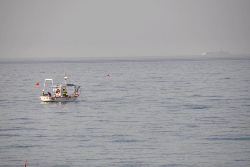 Gaviota y La Estrella - foto 39