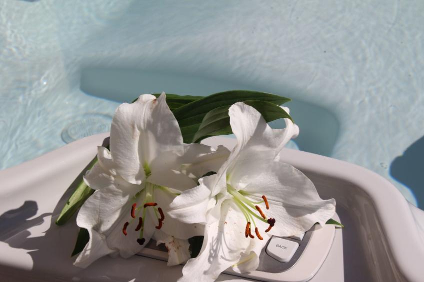 Villa du Port - foto 5