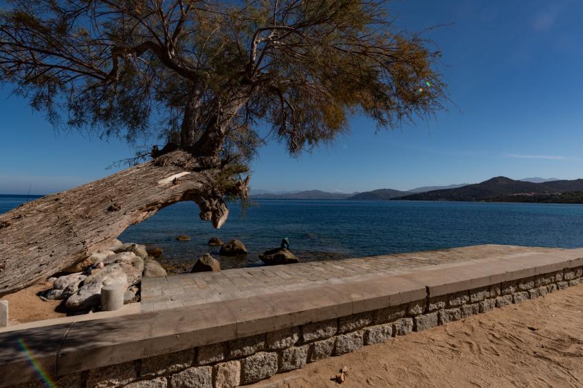 Résidence de la Plage (IRU154) - foto 26