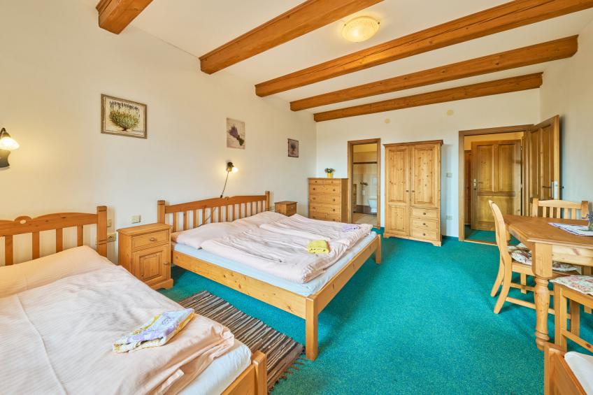 Haus Kaprasova (ULJ100) - foto 17