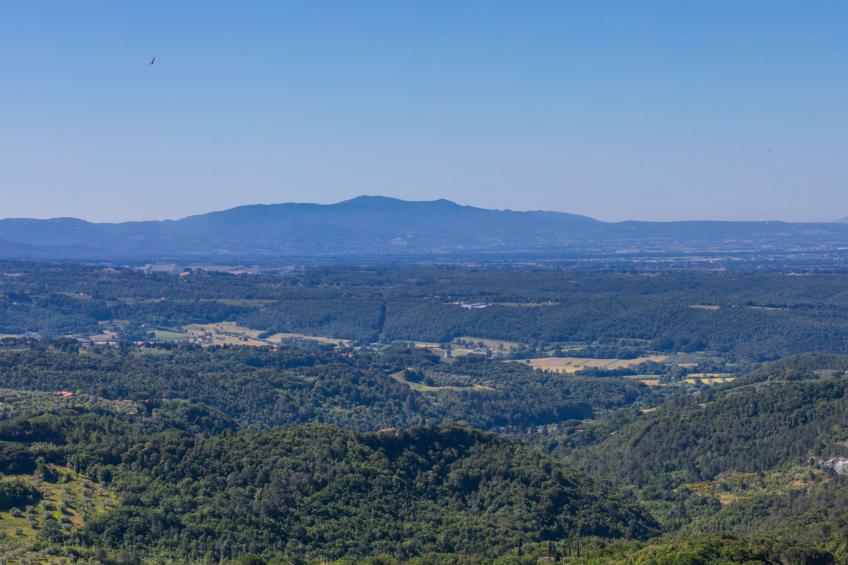 Ferienanlage Poggio di Nocola (RIP130) - foto 39
