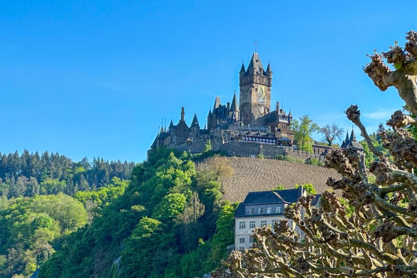 Panoramablick - foto 21