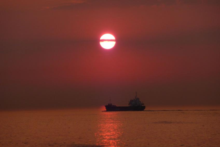 Gemütliches Studio im ursprünglichen Bauernhaus - foto 15
