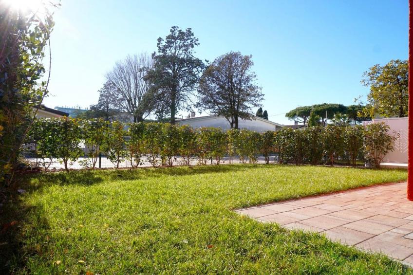 Pleiadi PT - foto 13