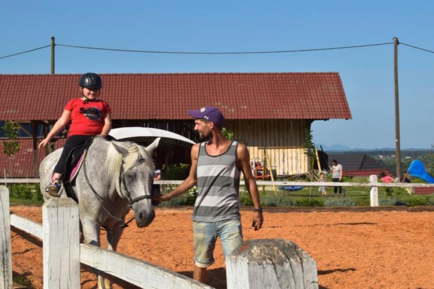 Zevnik Quiet Retreat with Stunning Views and Equestrian Activities - One Bedroom Apartment - foto 33