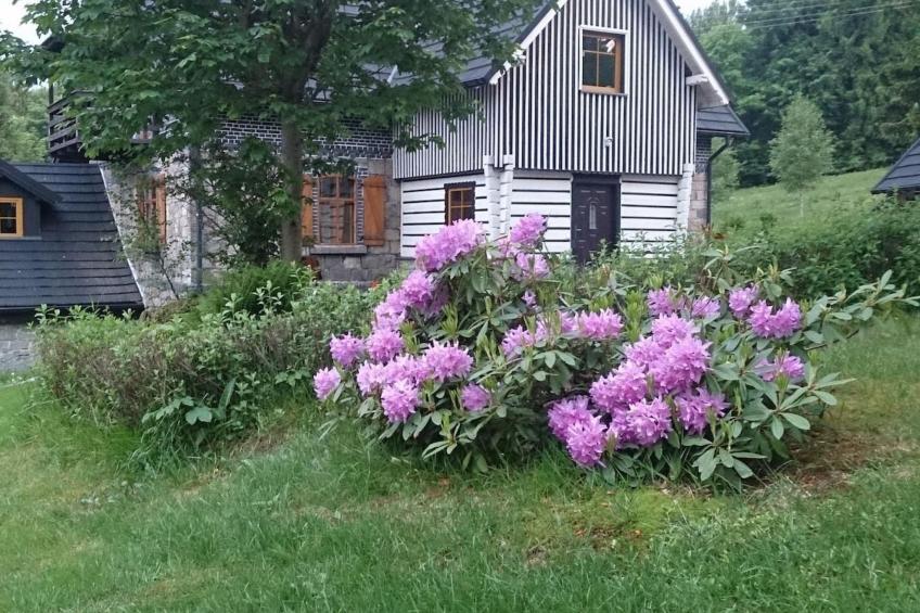 Exklusives Ferienhaus mit Schwimmbad direkt am Wasser - foto 3