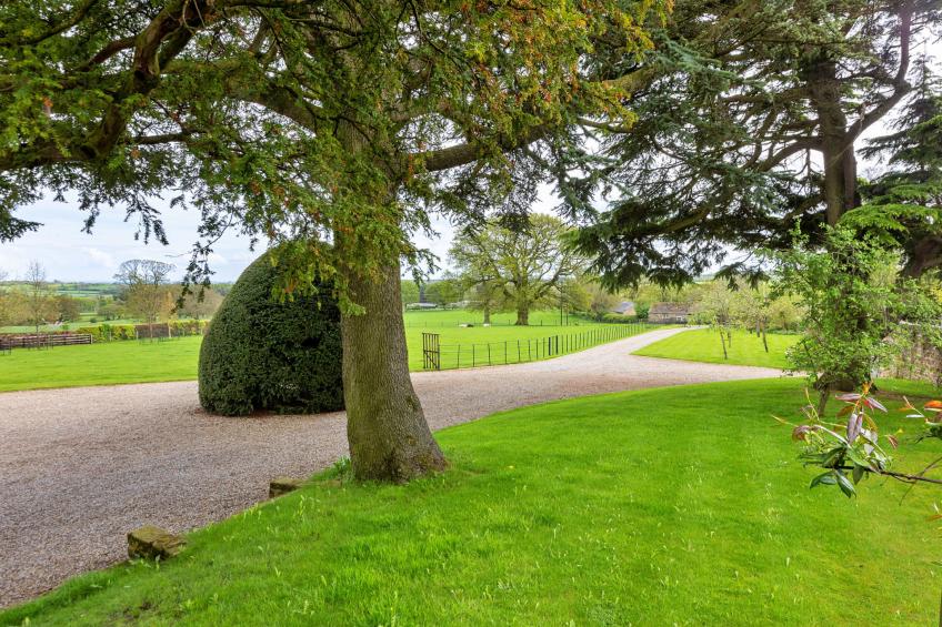 The Old Estate Office Nr Grantley Hall - foto 5
