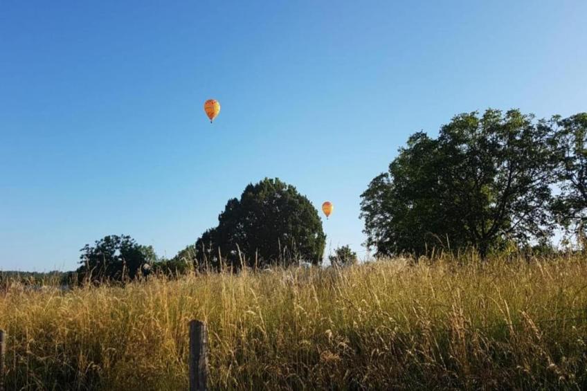 Maison de vacances - BESSE - foto 37