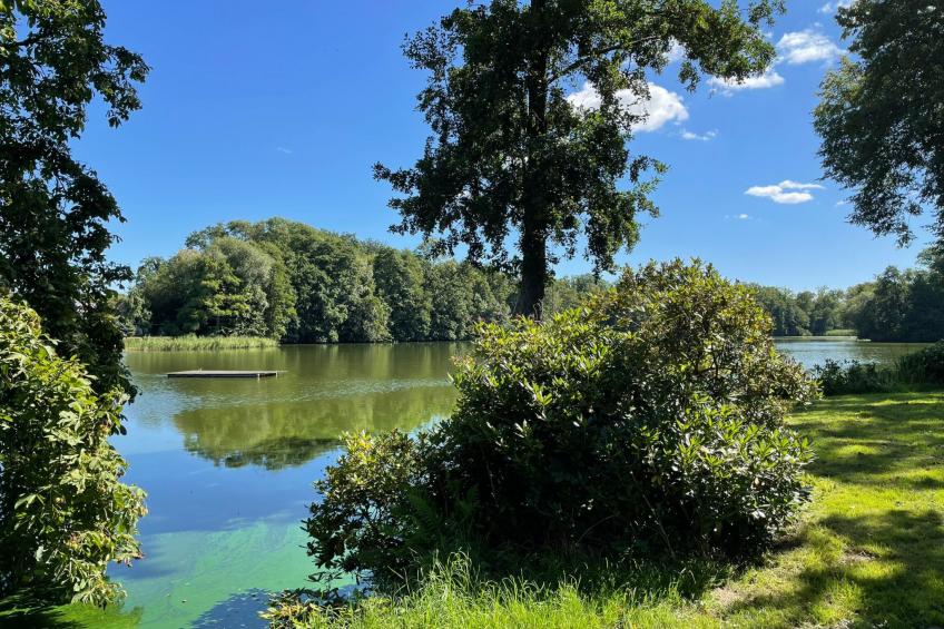 Rittergut Heyda - foto 23