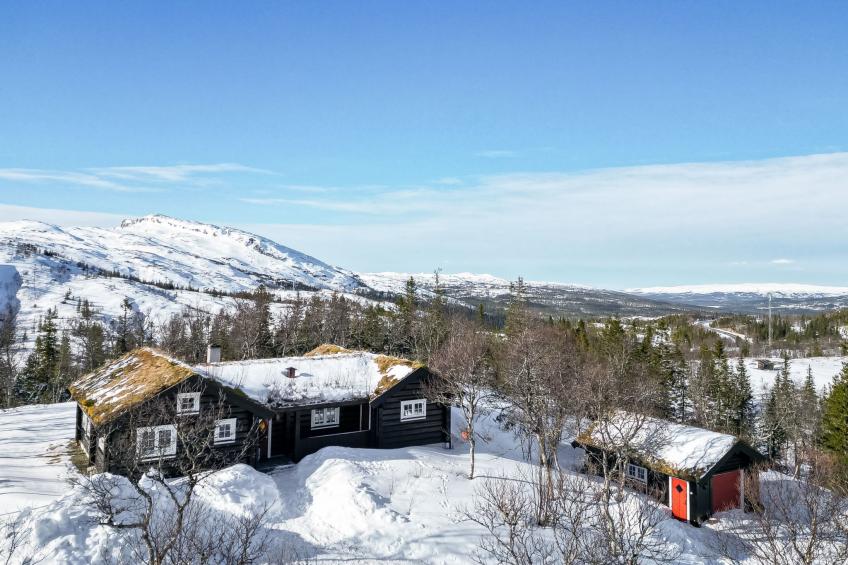 Fjälldrömmen - foto 23