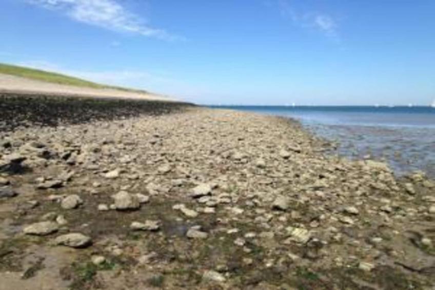 Cosy Oosterschelde 20 - foto 35