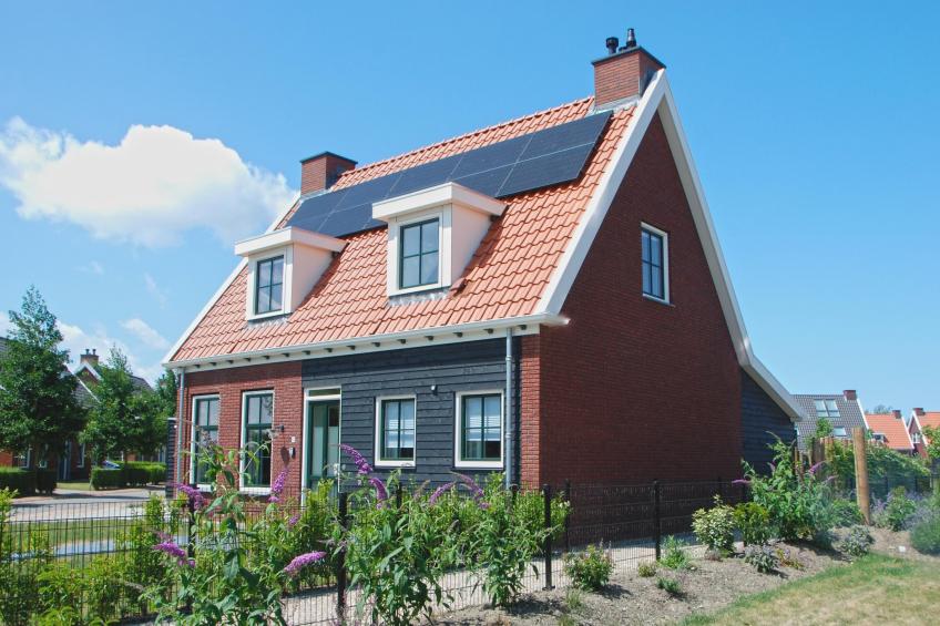 Zeeuwse Pracht 8 p