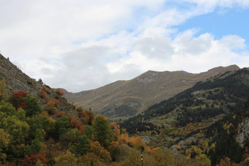 Cobert d'en Piarró - foto 28