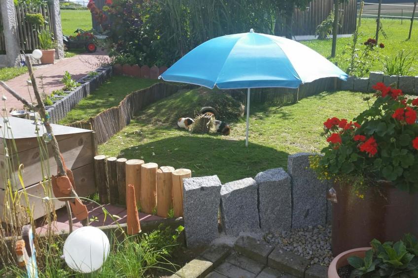 Zillendorf 2 - foto 8