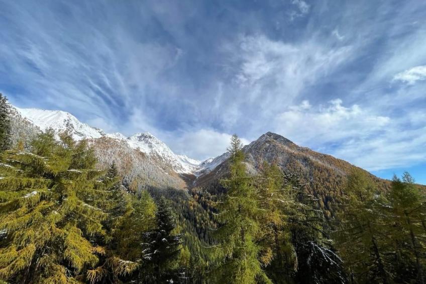 Presa Daint - foto 20