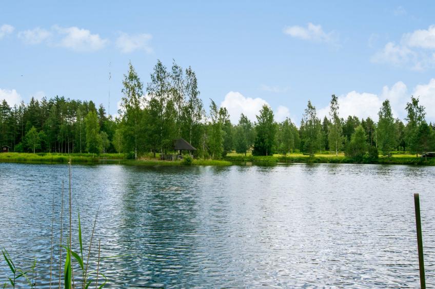 Meripoika - foto 17