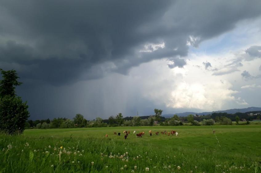 Sidlers Neuhof - foto 24