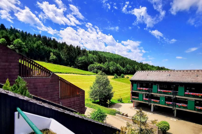 Schwarzwald Loft mit Schwimmbad und herrlicher Aussicht - foto 6