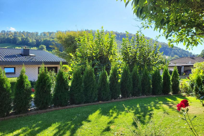 Apartment mit Hund - foto 3