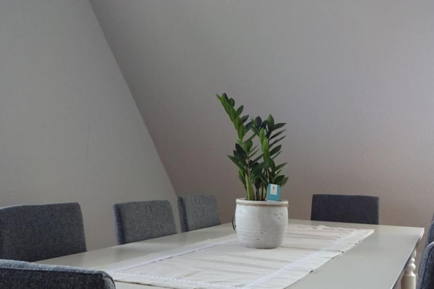 Appartement mit Terrasse - foto 7