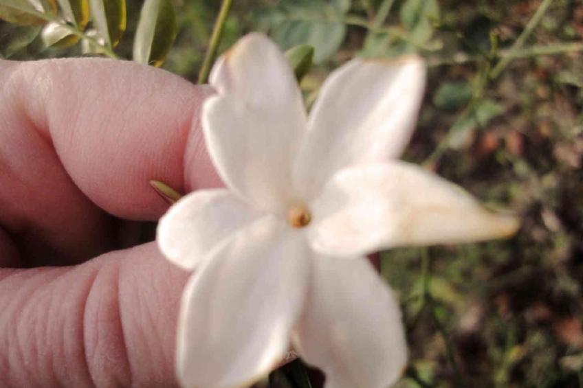 Locations-06 - Die Eugenie - foto 32