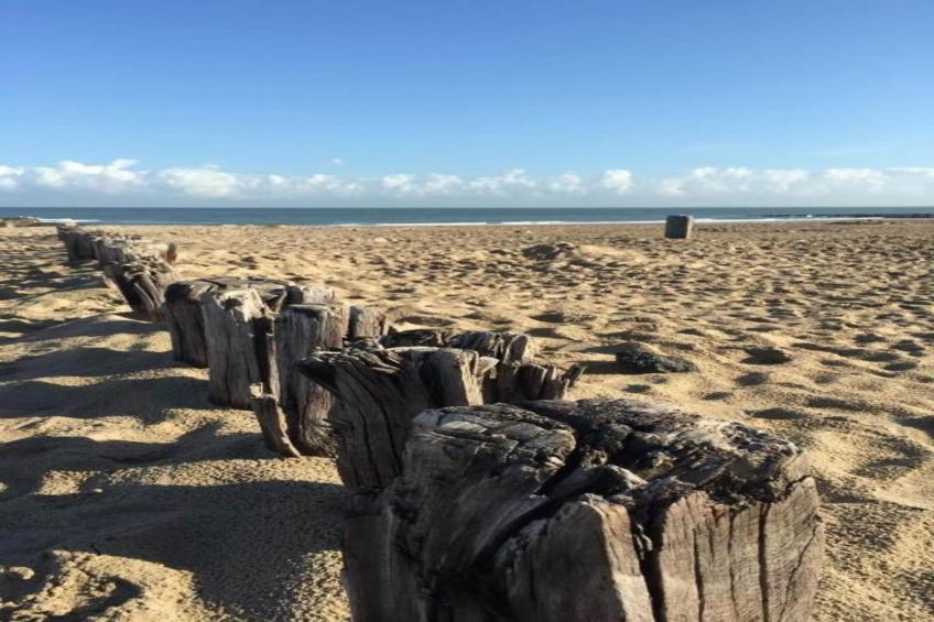 Noordzee Résidence Dishoek - foto 24