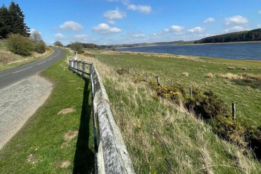 The Rushy Lot - foto 37