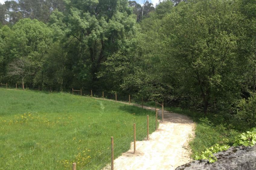 "Großmutters Häuschen" mit überdachter Terrasse - foto 47