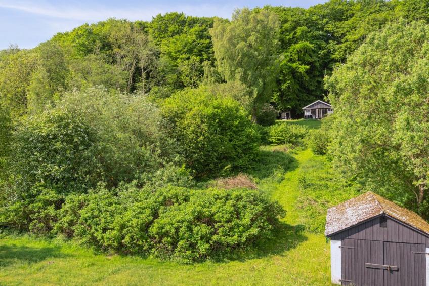 "Ginne" - 100m to the inlet in The Liim Fiord - foto 4