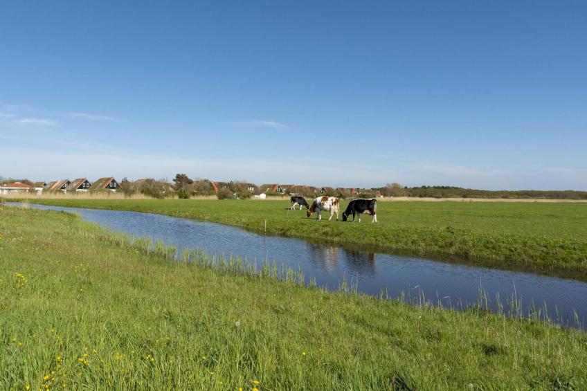 De Buitenplaats 42 - foto 19