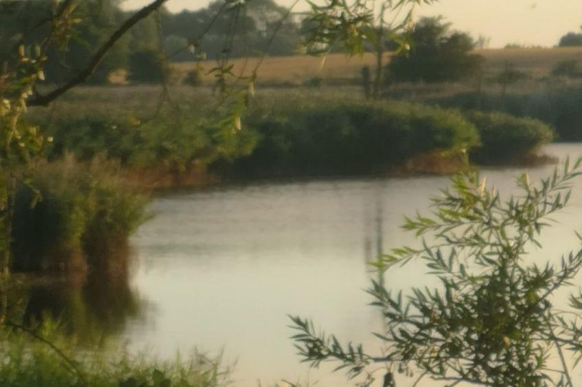 in Mellnitz mit Großem Garten - foto 44