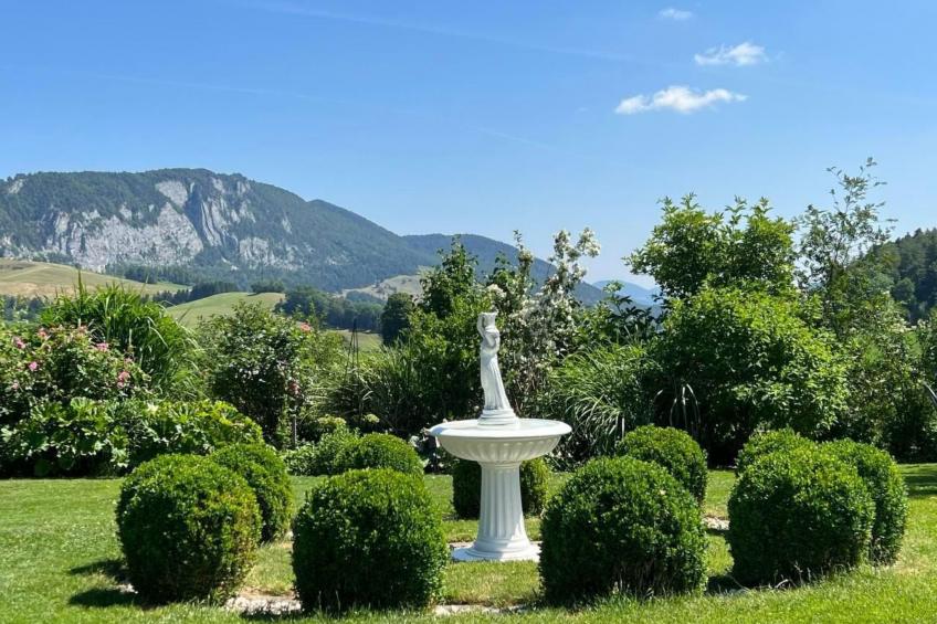 Schafmatthof Dachwohnung - foto 17