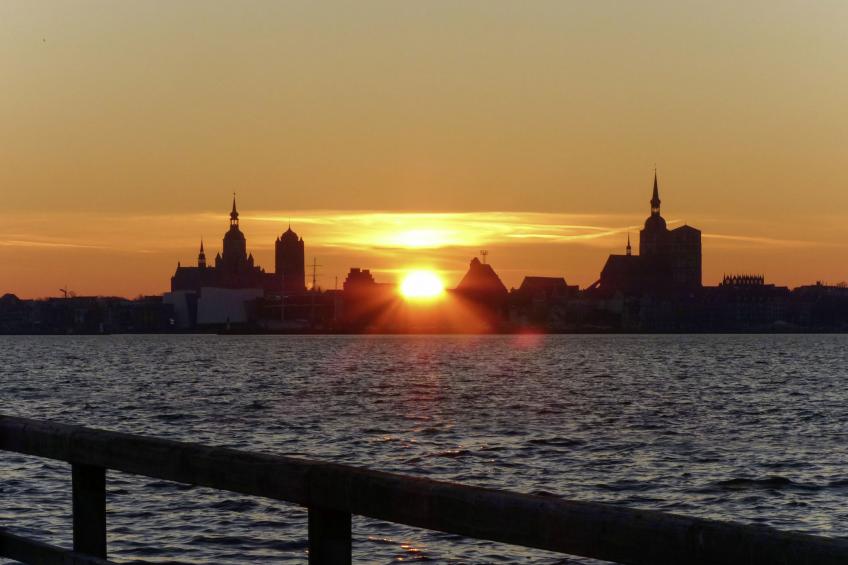 Kranichblick - foto 58