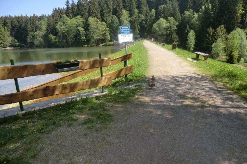 Gretelhaus - foto 28