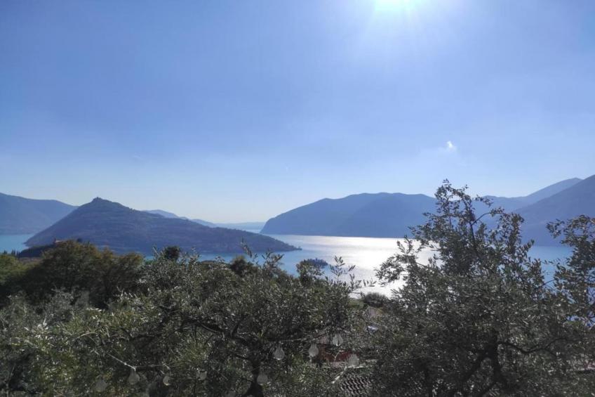 Bellavista - foto 27