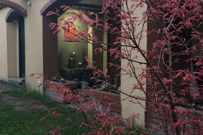 an der Kaschubischen Seenplatte - foto 50