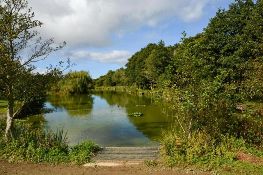 Old Lanvean Cottage - foto 24