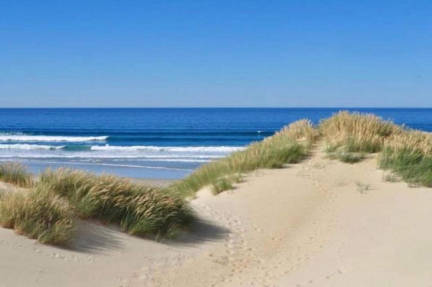 Lilyta B403 4A - foto 31